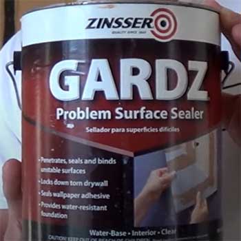 Gardz Surface Sealer