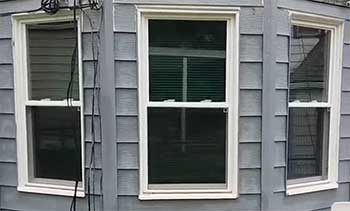 VinylMax windows