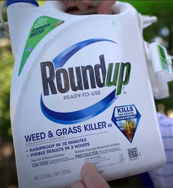 Roundup Weed And Grass Killer