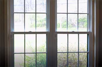 Viwinco Double-Hung Windows