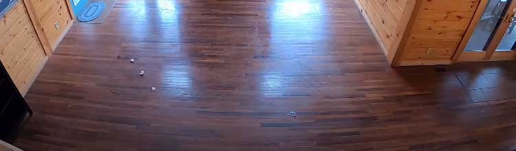 Happy Feet Vinyl Plank Flooring