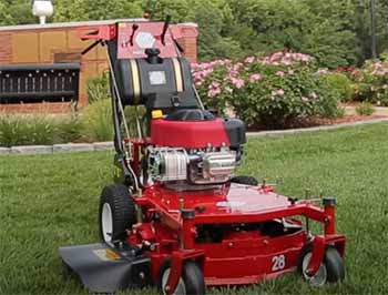 Worldlawn Mower Reviews 2024 Is It Worth It