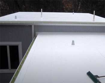 IB PVC Roofing