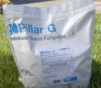 Lawn Fungicide Granular