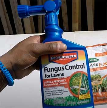 Lawn Fungicide Spray