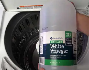 Vinegar For Washer Cleaning