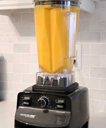 Kenmore Pro Blender 