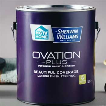 Ovation Paint