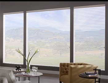 Alta Window Fashions Shades