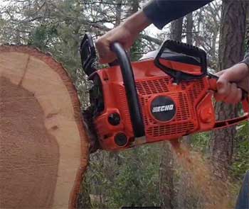 ECHO CS 800P Chainsaw