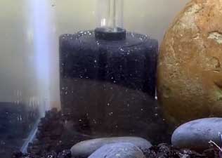 Aquapapa Sponge Filter