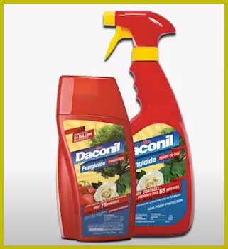 Gardentech Daconil Fungicide Ready to Use