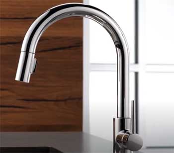 Delta Trinsic Kitchen Faucet