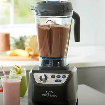 Princess House, Kitchen, Princess House High Power Blender Vida Sana