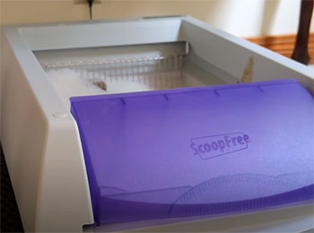 ScoopFree Tray