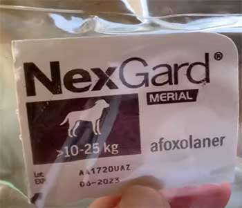 NexGard