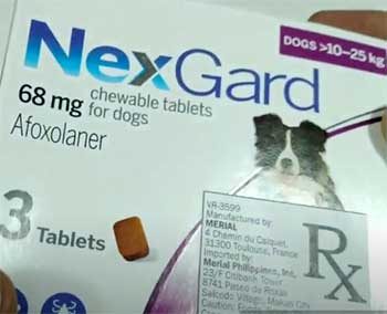 NexGard For Dogs