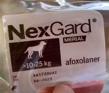 NexGard