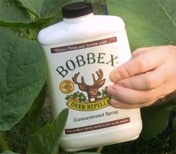 Bobbex Deer Repellent