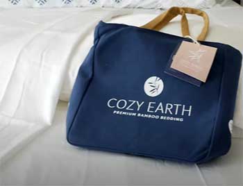 Cozy Earth Bed Sheet