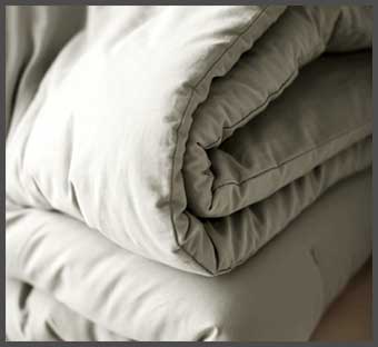 Dream Brushed Cotton Comforter