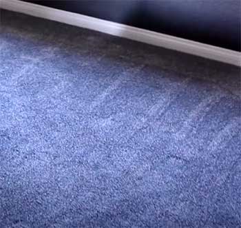 Pet Proof Carpet