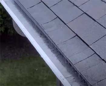 LeafFilter Gutter Guard