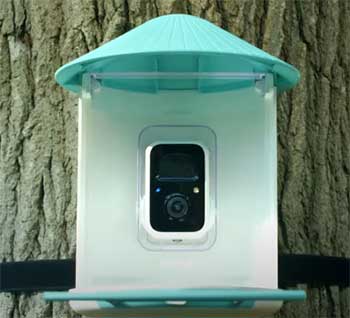 Netvue Smart Bird Feeder