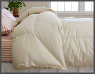 Permabaffle Box Goose Down Comforter