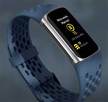 Fitbit Fitness Trackers