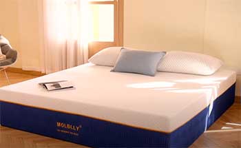 Molblly Fortified Comfort Gel Memory Foam Mattress