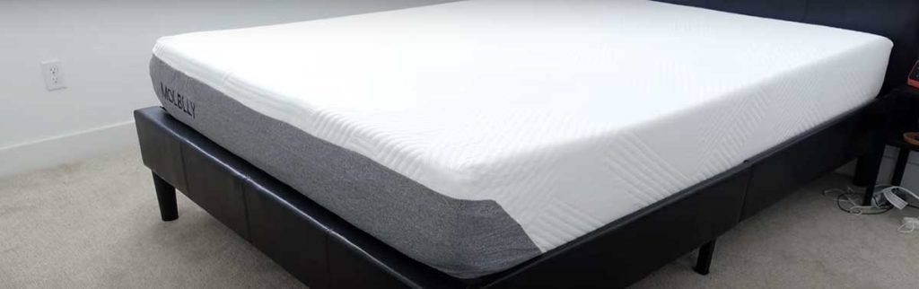 Molblly Gel Memory Foam Queen Mattress