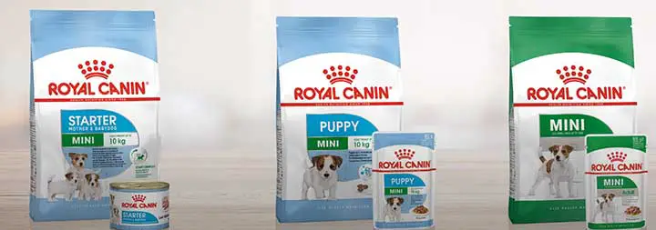 Royal Canin Mini