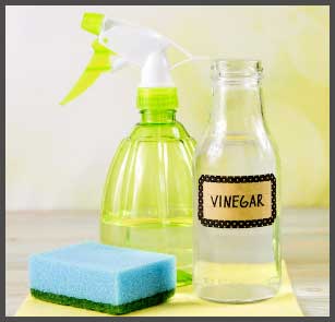 Water and White Vinegar