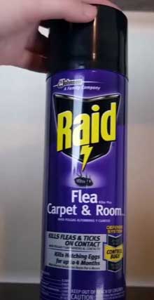 Raid Flea and Tick Spray
