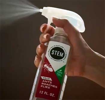 stem roach spray