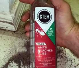 stem roach spray