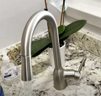 Moen Adler Kitchen Faucet