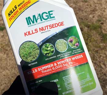 Image Kills Nutsedge