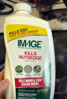 Image Kills Nutsedge