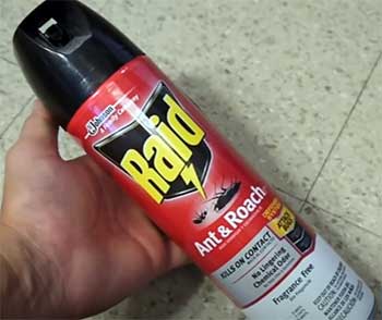 Raid Bed Bug Spray