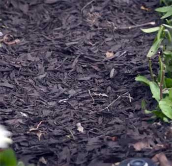 Rubberific Rubber Mulch