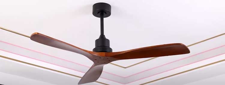 Sofucor Ceiling Fan With No Light