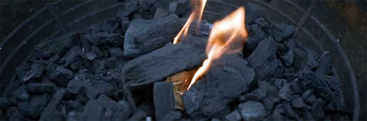 Royal Oak Lump Charcoal