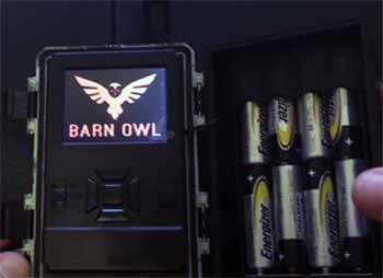 Barn Owl Camera