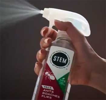 STEM Ant Spray