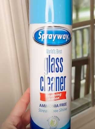 Sprayway Glass Cleaner