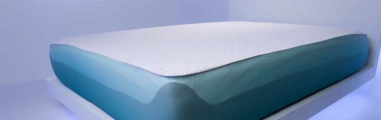 Bedgear Mattress Protector