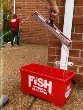 Fish Window Cleaning
