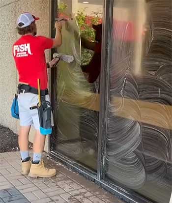 Fish Window Cleaning